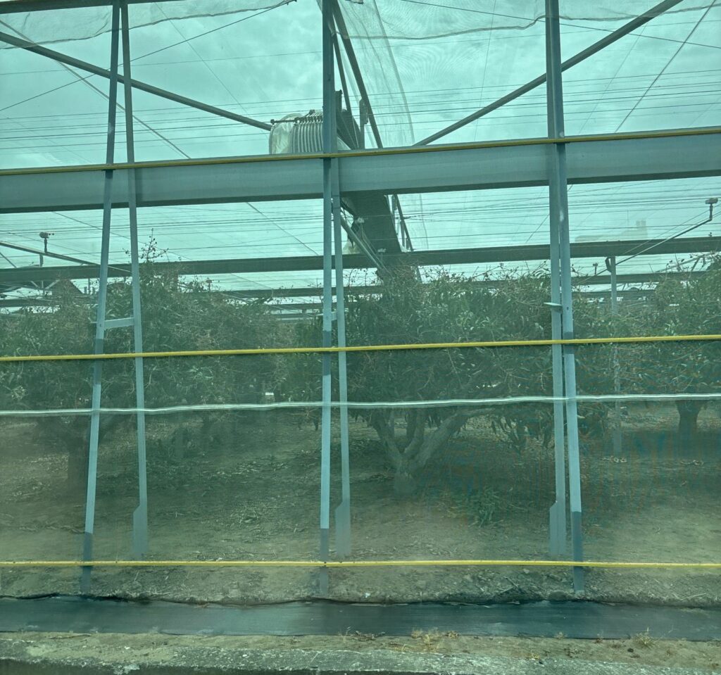 強颱樺加沙颱風逼近   屏東農漁民應提早因應防範