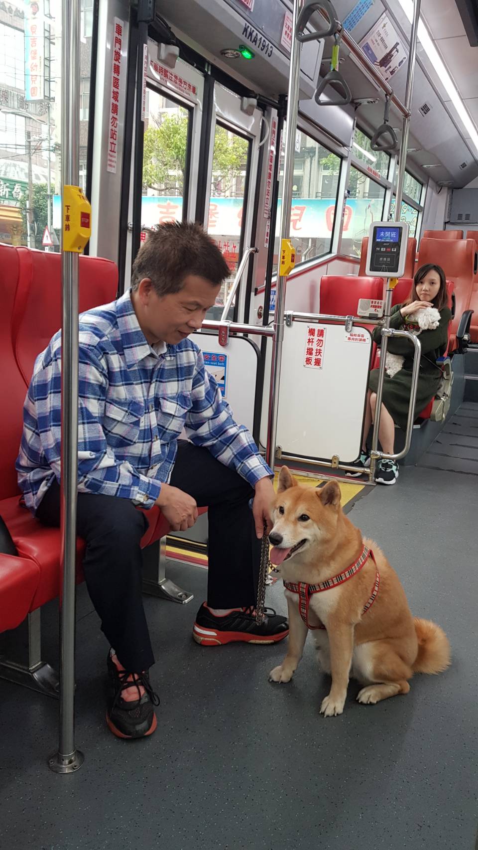 新北寵物友善交通再升級     藍15線公車9/5起加入     帶毛孩輕鬆出遊