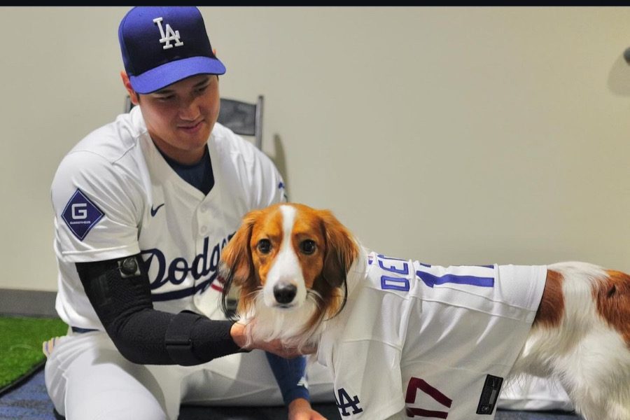 影/《MLB》大谷帶愛犬Decopin超萌開球加持 首打席就炸裂本季第42轟