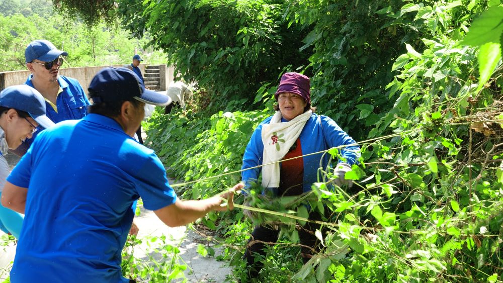 移除小花蔓澤蘭  守護環境荷包滿