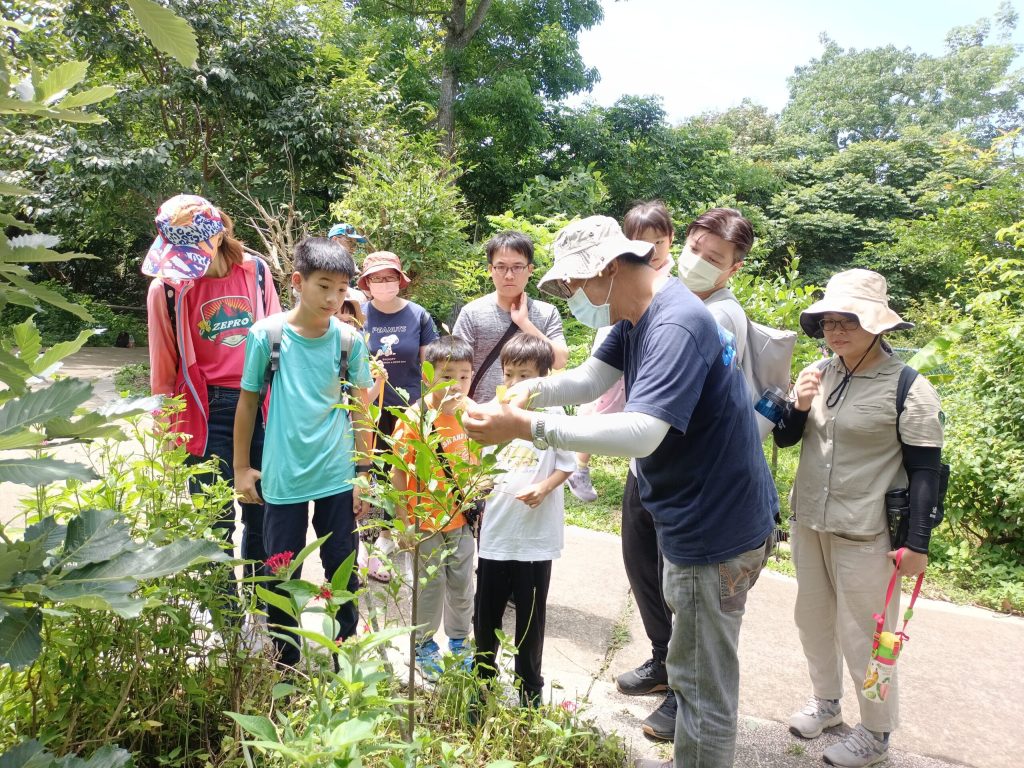 2025大坑蝶螢嘉年華締造跨國感動　日本博士生親證台灣紫斑蝶魅力