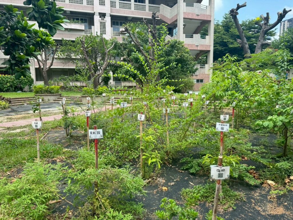 從樹苗到森林　中市教師共同打造淨零綠校園藍圖