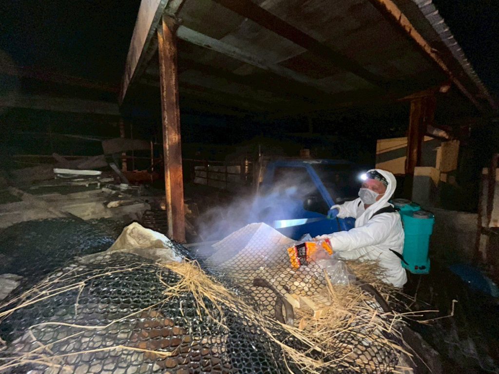 非洲豬瘟案場髒亂超預期！　市府與十軍團聯手徹夜啟動消毒前清理 第二輪人力接手