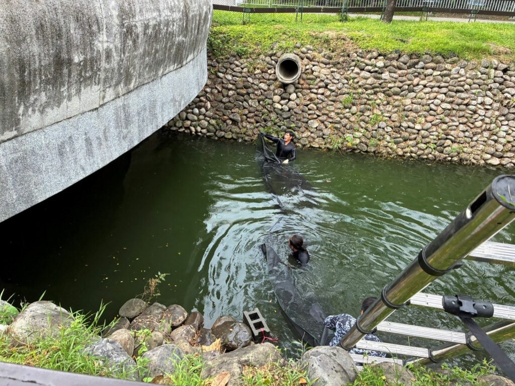 別讓城市成為棄養的庇護所    屏東2公園鴨鵝數量過多