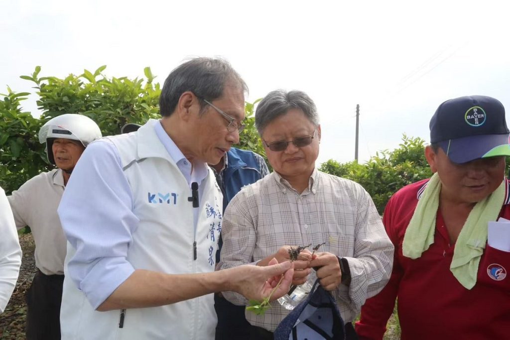 蘇清泉實勘荔枝產業促請救助  農業部啟動災害補助4/9起受理