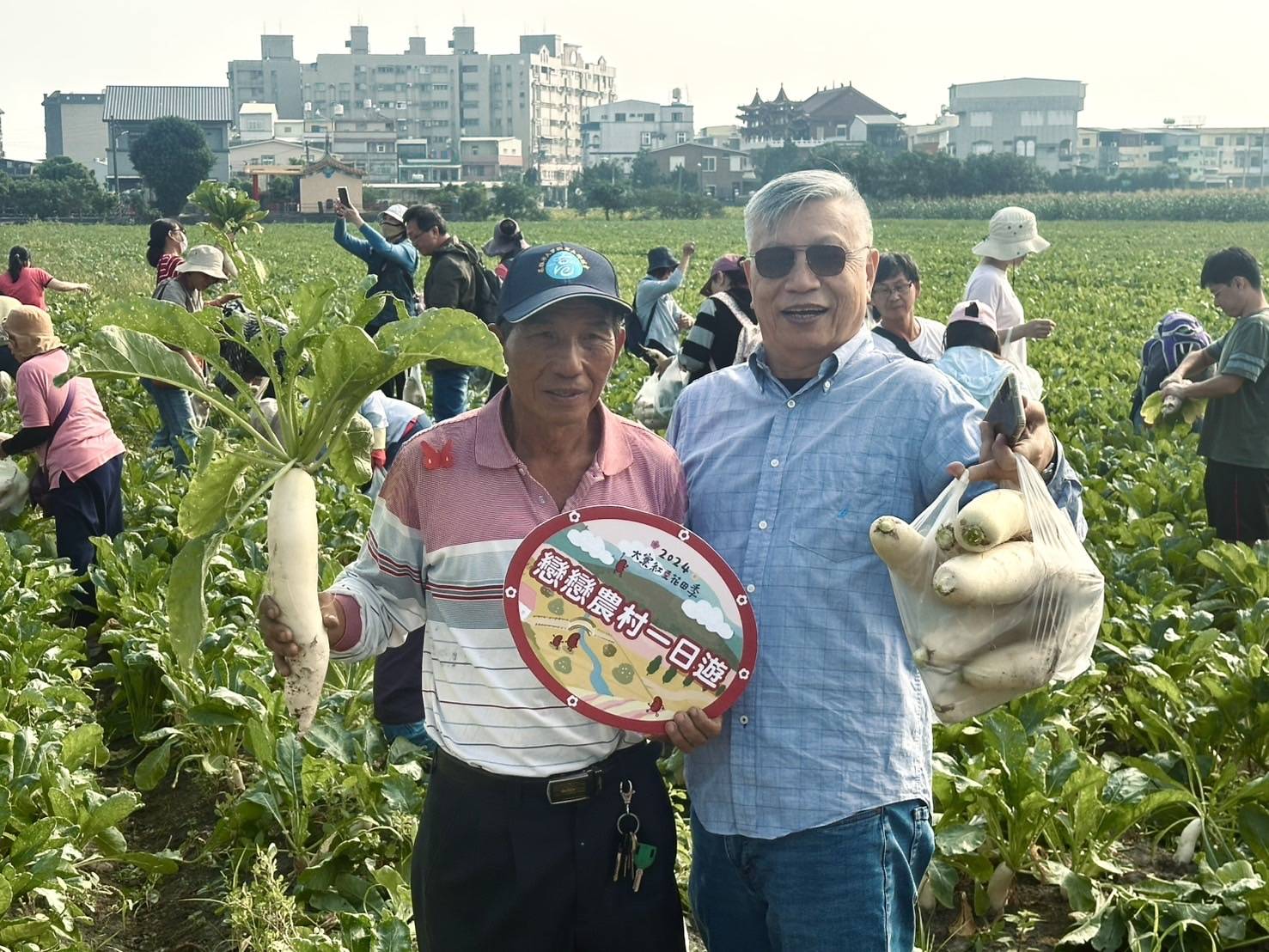 大寮紅豆花田季　打造網美級花海！