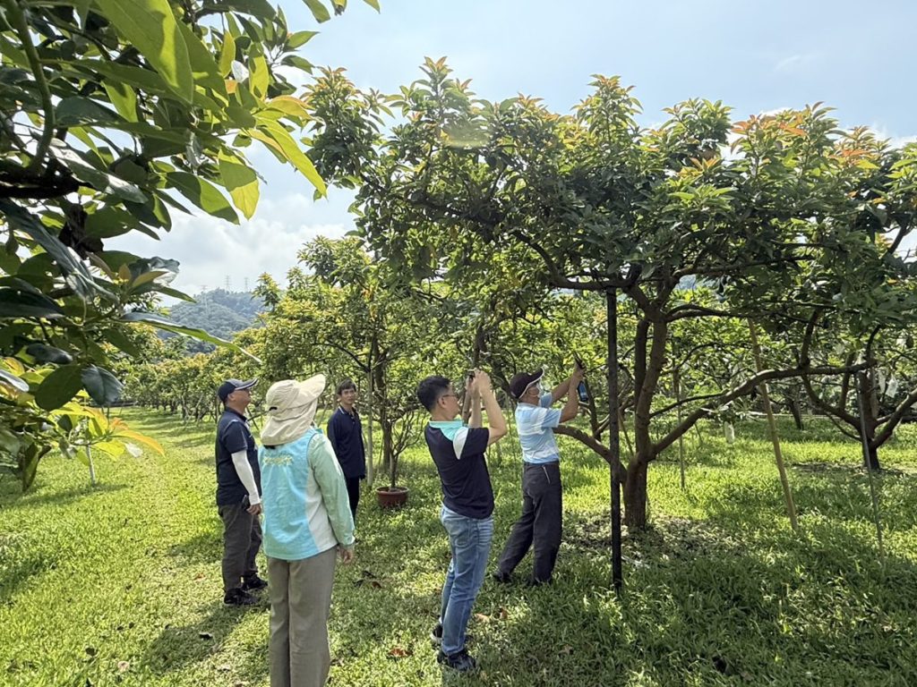 彰化縣辦理酪梨低溫天然災害現金救助  申請救助農民向土地所在公所申報