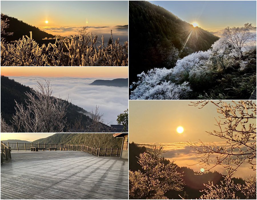 日出+雲海+薄霜+霧淞　太平山之晨美極了