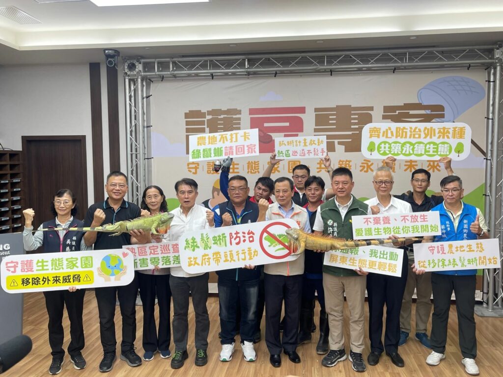 屏縣啟動「護豆專案」 加強移除綠鬣蜥