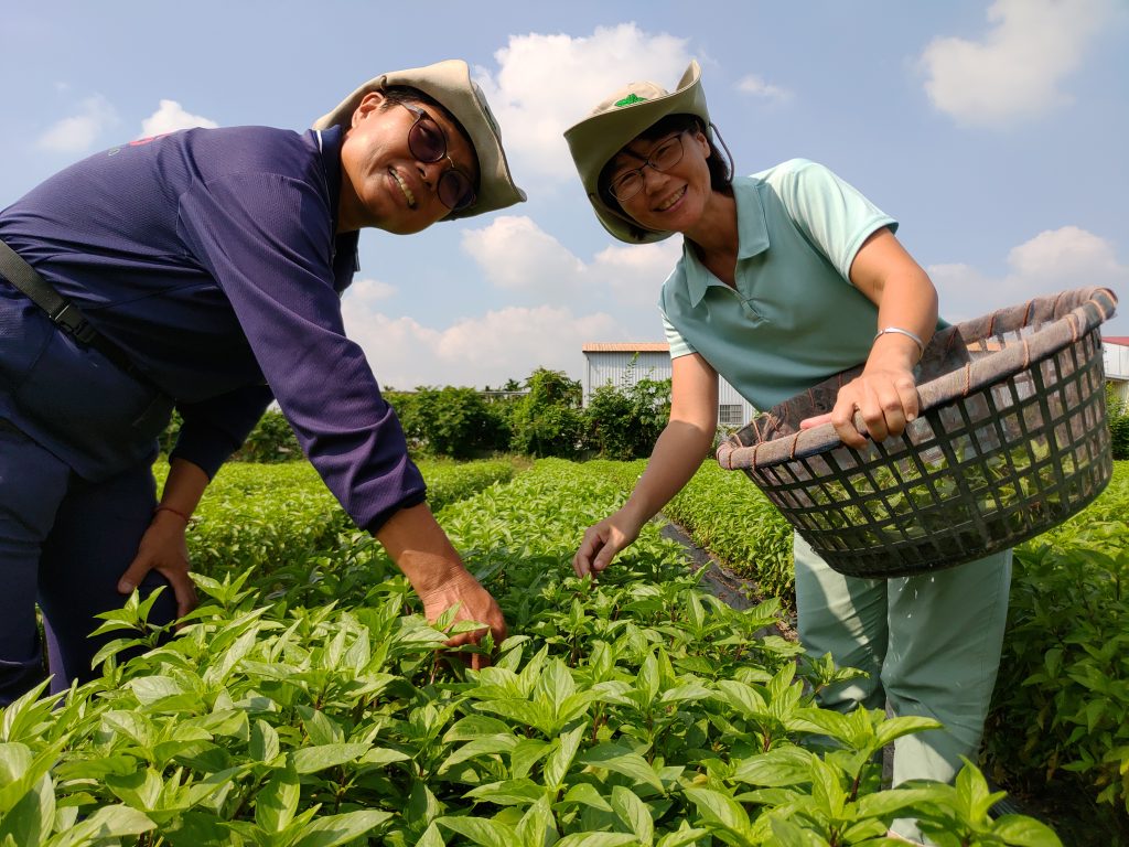 樸作良食外銷聯盟成立　夯羅勒百萬年薪不是夢