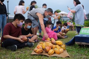 屏東可可新黑金 　屏東可可園區