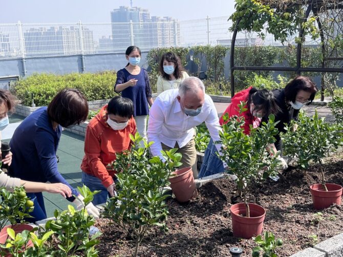 桔祥迎春虎哩旺  憨兒歡喜迎新年