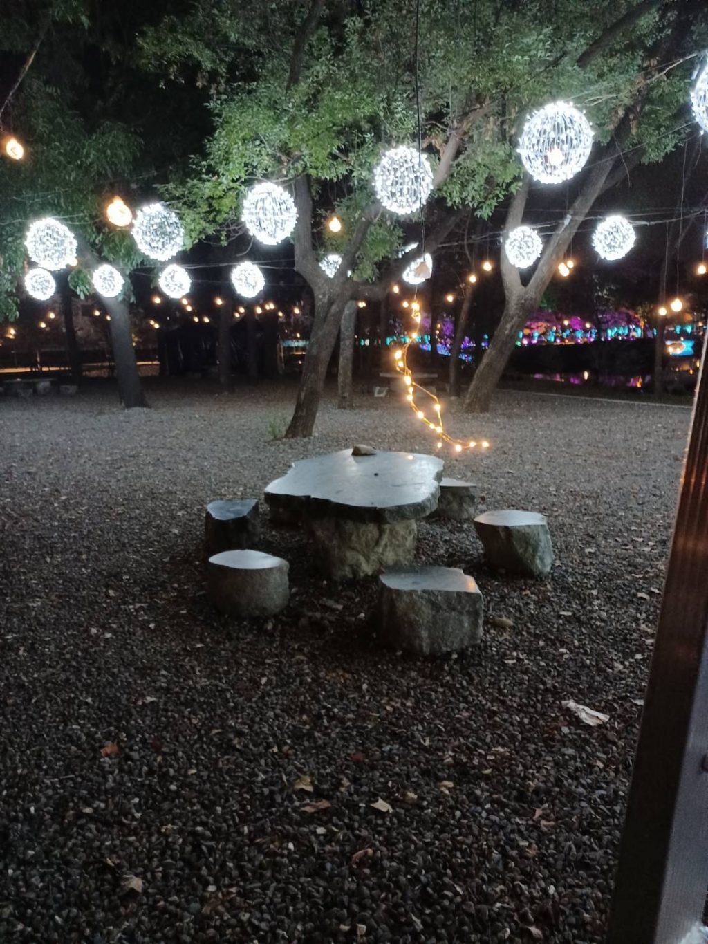 屏東燈節燈飾屢遭破壞　保持合宜距離拍照更美麗