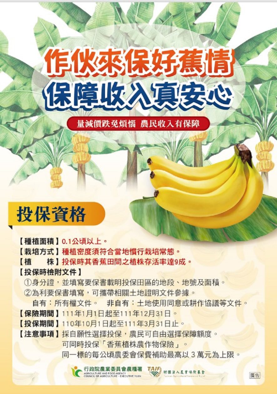 香蕉收入保險投保期限至111年3月31日止　請農民把握時間向當地承保農會投保