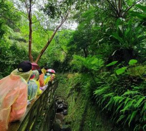 響應世界地球日 新北觀旅局攜手協會、華夏科技大學USR團隊以行動護山