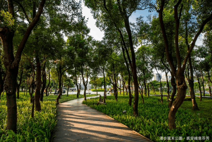 氧生宜居指標  桃園風禾公園旁稀有光合宅