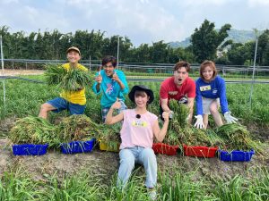 忍痛宣傳艾成遺作⋯王瞳不按牌理出牌破梗　浩子當場傻眼