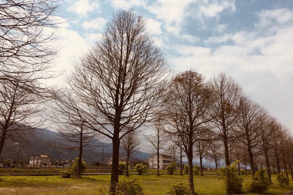 奧丁丁揪你推秋季露營專區  精選七大特色營地  賞落羽松、雲海美景