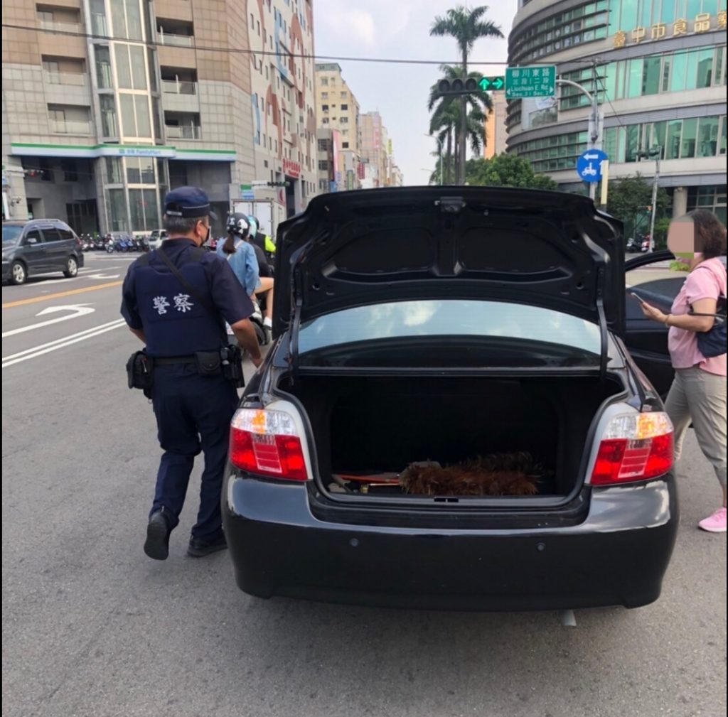 轎車引擎熄火故障卡路中 熱心暖警徒手推車解窘境