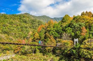 野溪溫泉、山林健行成秋冬國旅熱門  奧丁丁體驗推六大自然系療癒行程