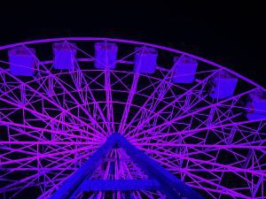 遠雄海洋公園 關懷世界早產兒日 東部唯一摩天輪 點上紫燈 一起為愛轉動