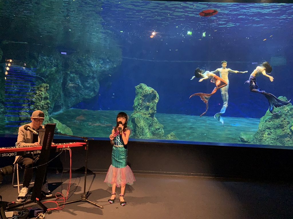 遠雄海洋公園20週年慶 11/1起 祭出第二波優惠 迎來美人魚華麗回歸