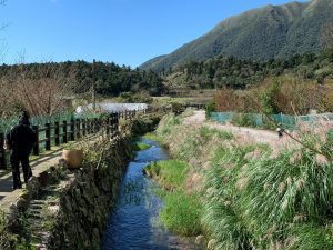 芒雪紛飛遊頂湖 秋末迎冬覓幸福