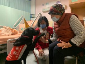 輔助治療犬進駐安寧病房 暖心互動讓患者直呼：好療癒