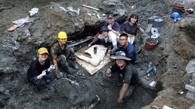 「鯨」人大發現　科博館、德國動物蒐藏中心及國內院校群