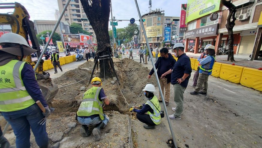 輕軌大順路段車站牴觸雨豆樹移植市府　邀請專家指導展現護樹之重視