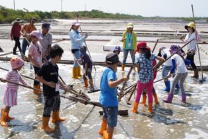 安順鹽場植物生態及鹽田體驗之旅　3/1開放報名