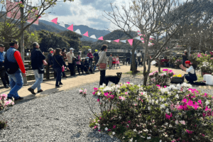 「移動花聚落」萬金杜鵑花展北海岸熱鬧展出    逾6萬人進場觀展    現場還可領取限量萬金花幣