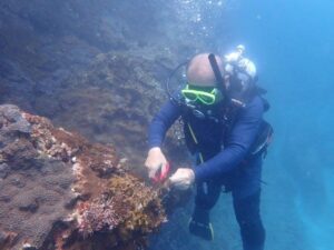 111年度海洋環境管理考核評比　花蓮縣蟬聯特優