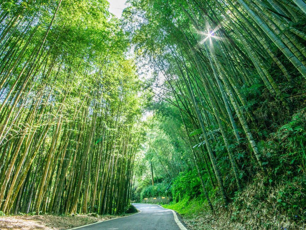 嘉縣旅遊好去處　166縣道美景加美食別錯過