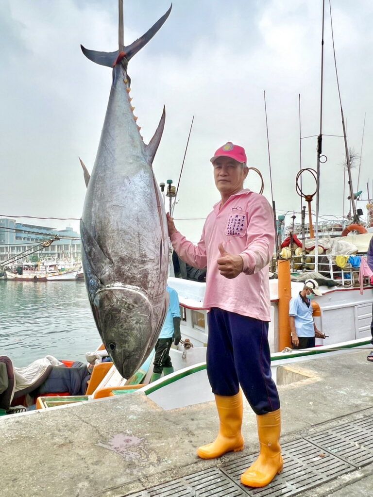 2023黑鮪魚季第一鮪確認 7日熱鬧拍賣 - 新頭條-TheHubNews