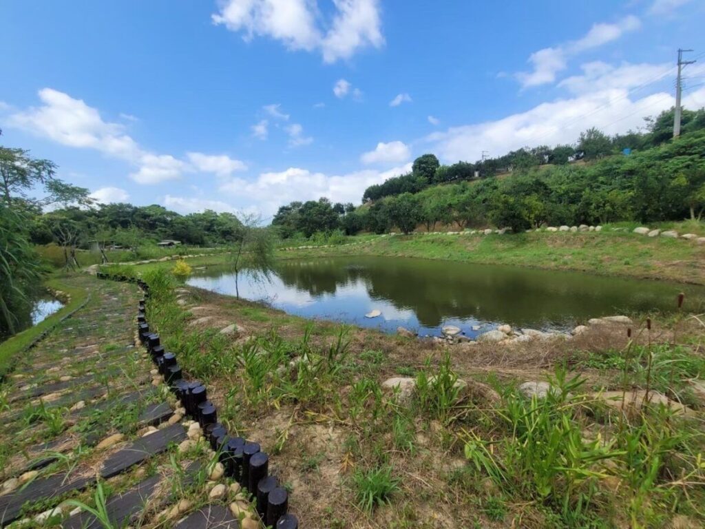 藏水於農孕生機 峨眉無負擔社區活化苦茶體驗園區農塘獲肯定