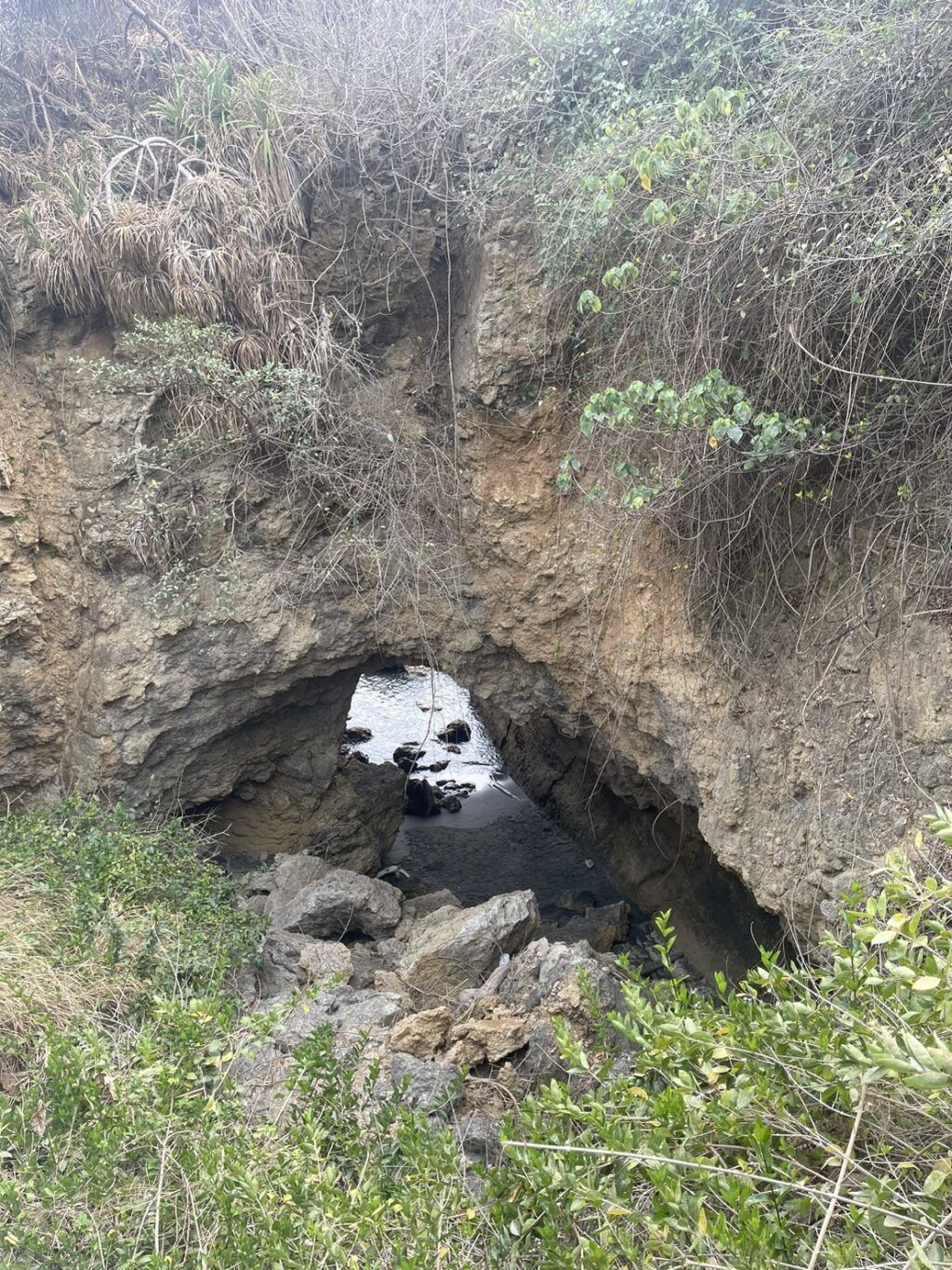 壽山西岸海蝕洞落石危險　自管處提醒民眾勿近
