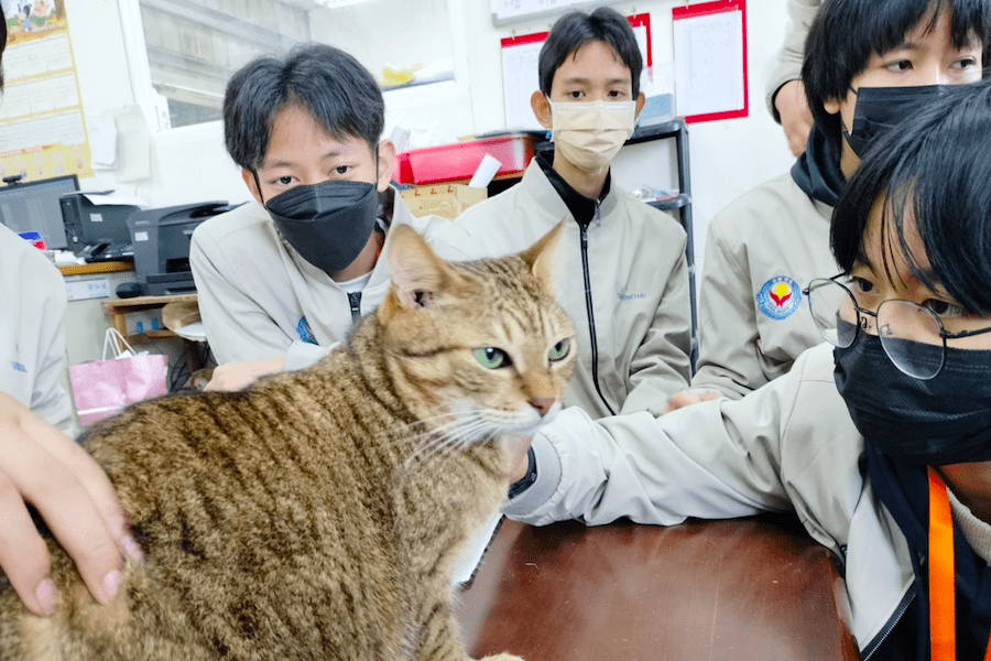 跨國教育交流     泰國師生在台灣動物之家學習生命教育