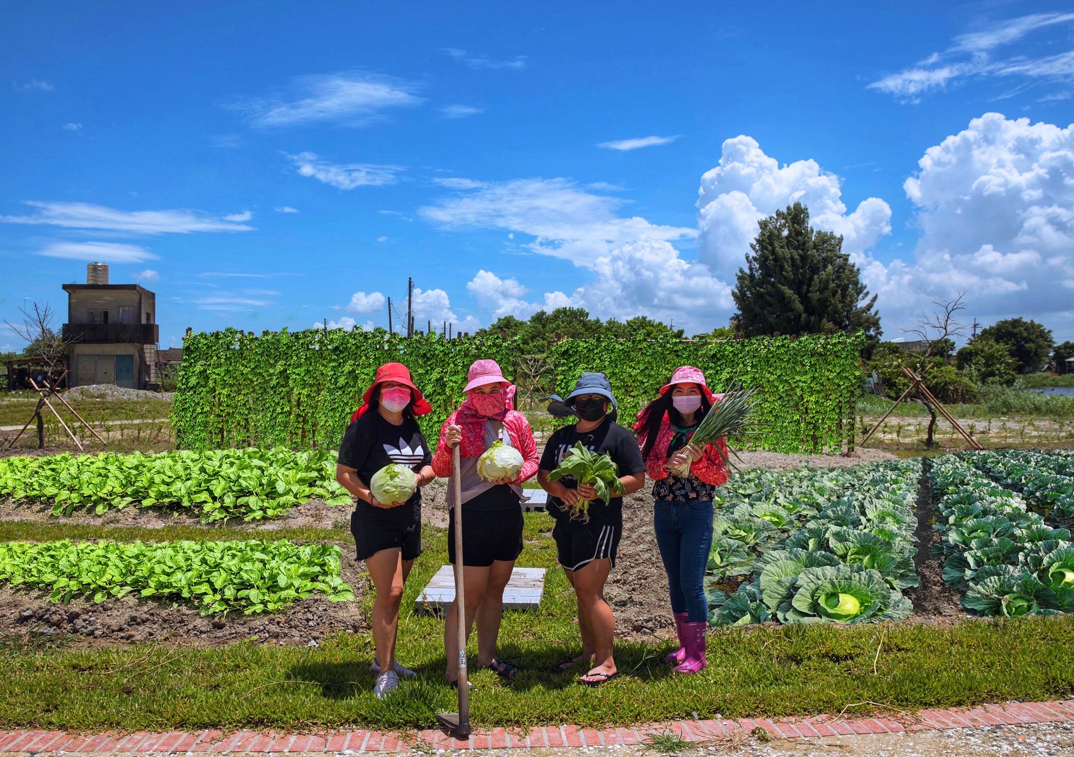 荒地變身滿滿人情味的綠色客廳　梧北村食農場域獲建築園冶獎肯定