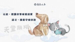 一手包辦寵物身後事　普渡萬眾寵愛的毛孩們