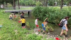 竹縣竹北東興圳公三生態島水環境營造  打造理想家園