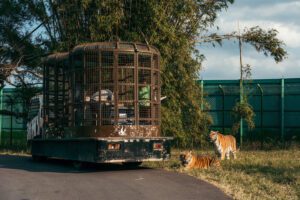 莊福文教基金會攜手合作 廣邀知名學者分享探究生物多樣性  動物保育教育營