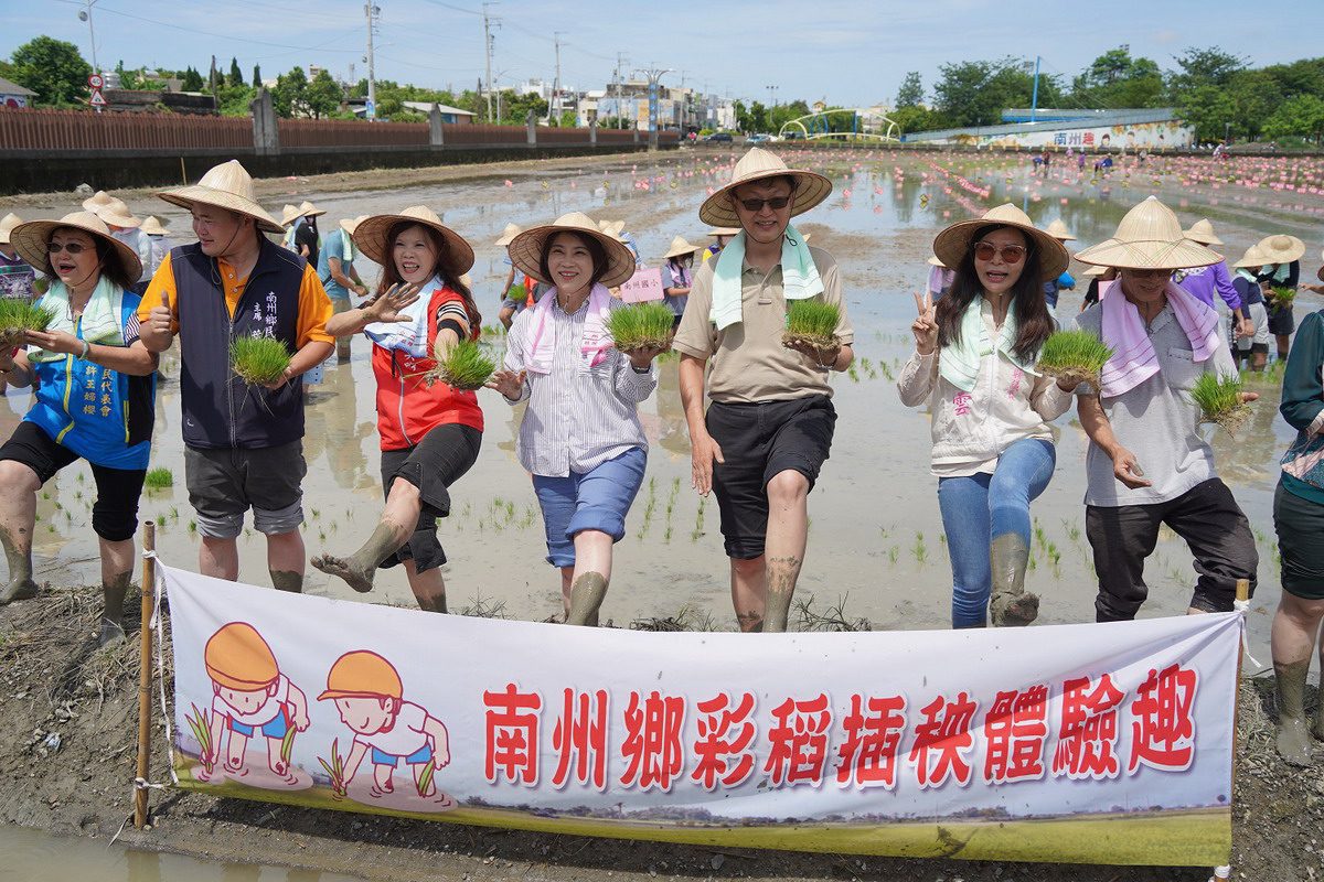 南州彩稻種出「海底世界」 雙十國慶接神秘面紗