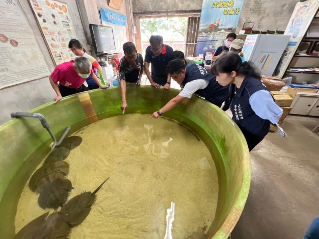 嘉義縣七夕鱟保育日　推廣海洋保育觀念