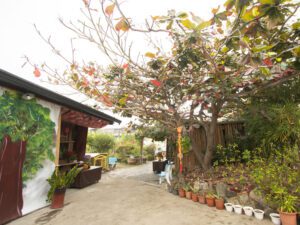 川雅居藝術空間民宿|城市裡的桃花源 順遊旗山老街客家美濃