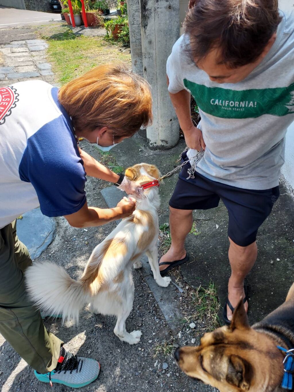 毛孩施打疫苗　才能免於狂犬病