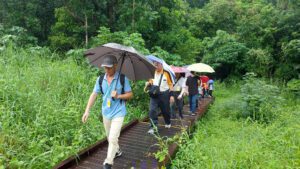 【旅讀農村】探訪苗栗鐵道覓境  臺南林場療癒森呼吸  品味雲林農村情書卷香！