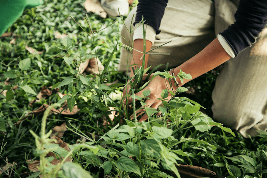 探索大自然美與美食的完美結合      微笑山線「秋收之宴」倒數中