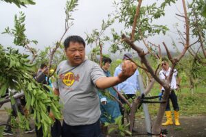 海葵颱風強風豪雨撲臺東   農損嚴重超過6億