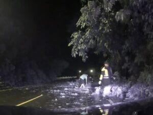 颱風天樹倒阻礙雙向道路　里警所長揮汗鋸樹排除路障